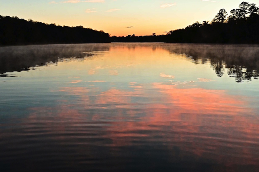 Lew Wilson, Your Suwannee River of Florida | Afterimage Gallery