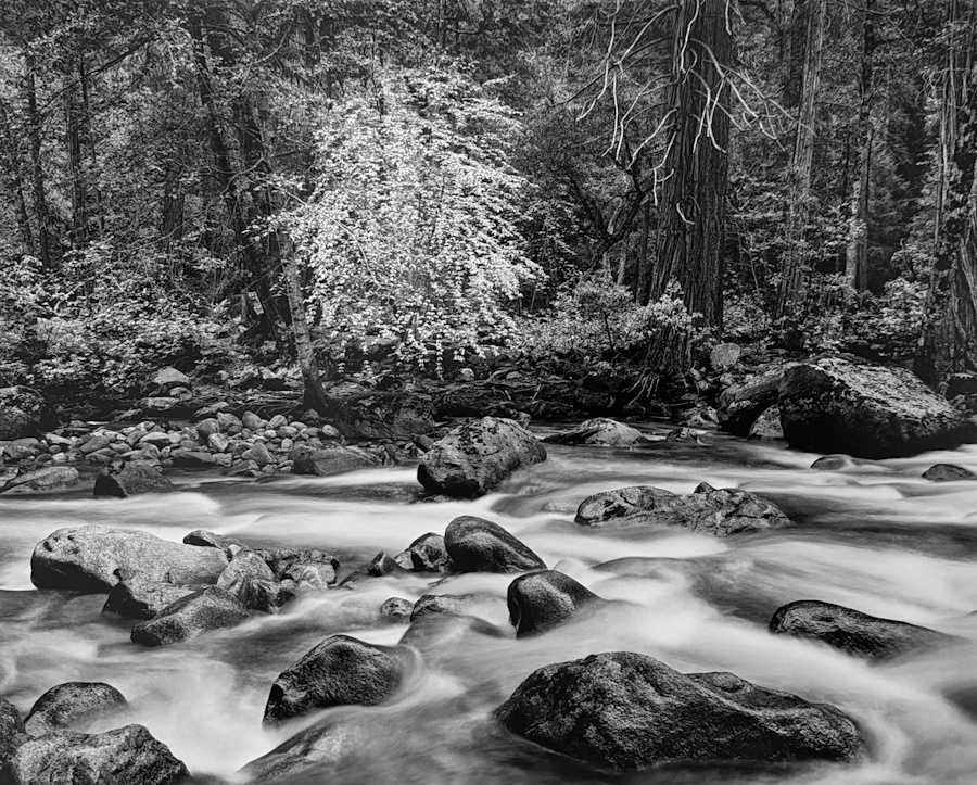 John Sexton, Merced River | Afterimage Gallery