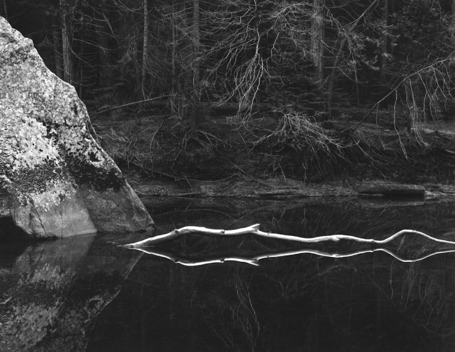 John Sexton, White Branch | Afterimage Gallery