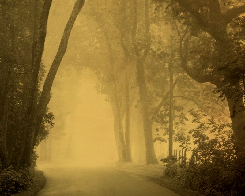 Joyce Tenneson, Mystical Road