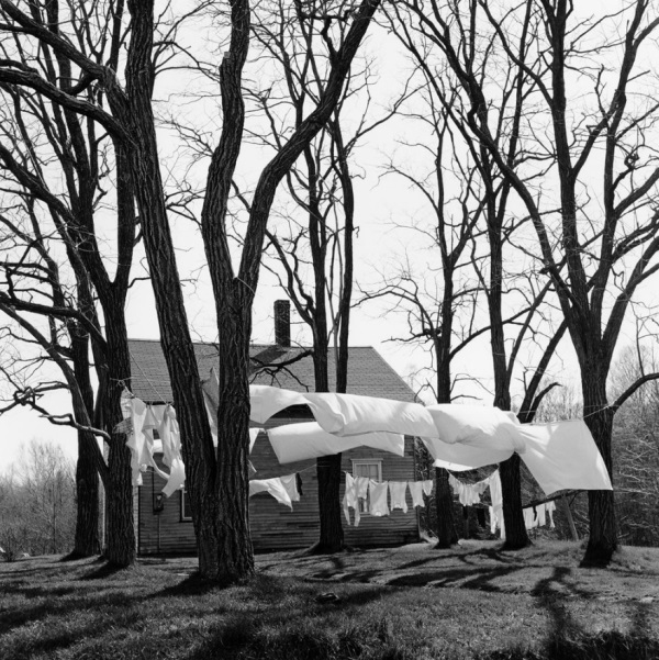 George Tice, Clothesline