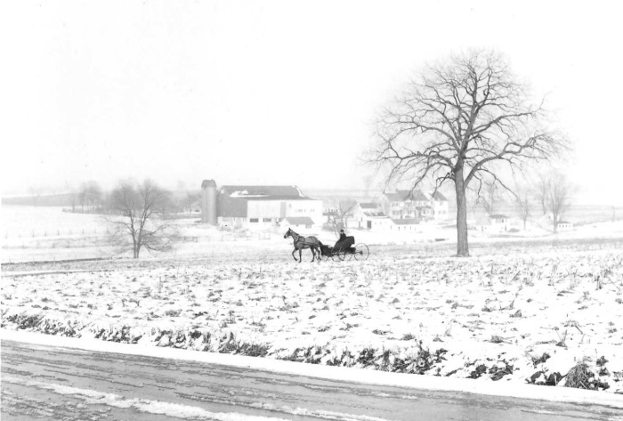 George Tice, Horse and Buggy