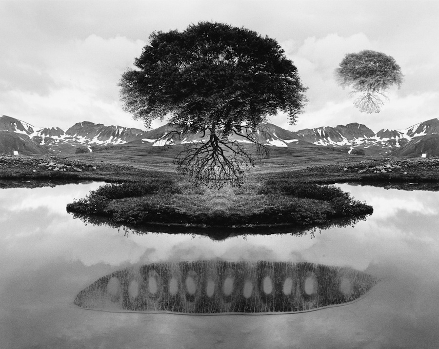 Jerry Uelsmann, Floating Tree  | Afterimage Gallery