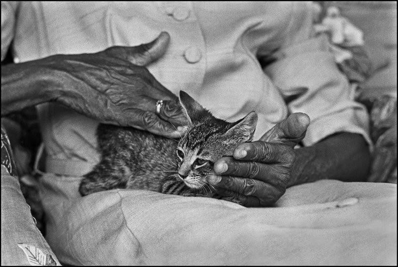 Gary Bishop, Ida Mae Petting her Cat
