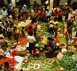 Vegetable Market