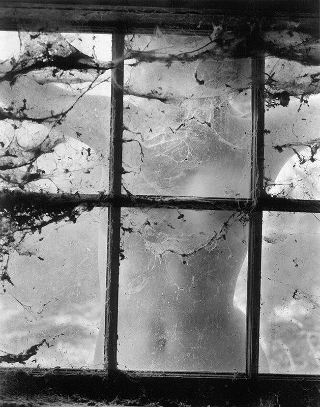 Wynn Bullock, Nude behind Cobwebbed Window | Afterimage Gallery