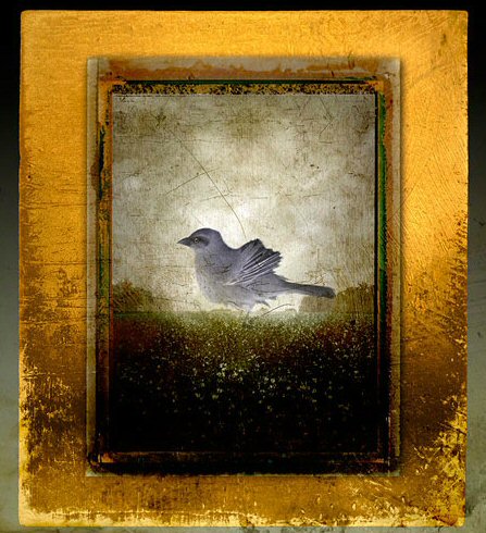 Fran Forman, Solitary Bird