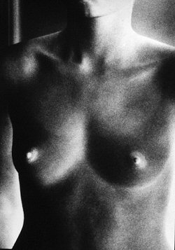 Ralph Gibson, Nude/Negative