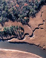 Manasquan River Upstream Wetlands