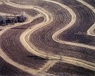 Owen Kanzler, Contour Plowed Field