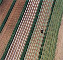 Owen Kanzler, Spring Planting