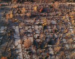 Long Abandoned Parking Lot