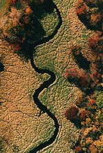 Meandering River