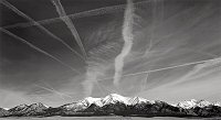 Brian Kosoff, Contrails