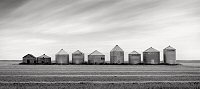 Brian Kosoff, Silos