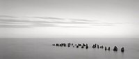 Brian Kosoff, Lake Superior