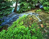 Charles Kruvand, Famous Springs Flowing into the Blanco River