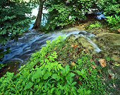 Charles Kruvand, Famous Springs Flowing into the Blanco River