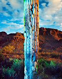 William Lesch, Old Saguaro and Gates Pass