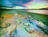 William Lesch, Sting Ray Carcasses and Tuluror Island
