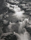 George Tice, Roaring Fork River