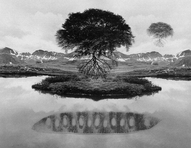 Jerry Uelsmann, Floating Tree | Afterimage Gallery