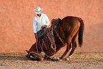 Craig Varjabedian, Sparrow and her Cowboy Richard