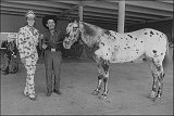 Miss Appaloosa Queen